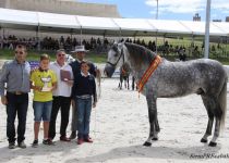 W CHULITO III, DE JOSE FAJARDO EL MANCHEGO,CAMPEON DEL CONCURSO. ENTREGA ROBERTO GUTIERREZ. (Copiar)